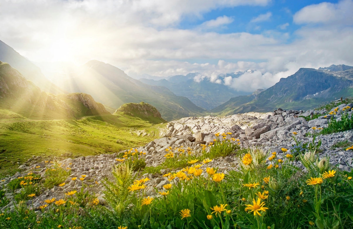 Warum Naturpflege aus den Alpen wieder im Trend liegt