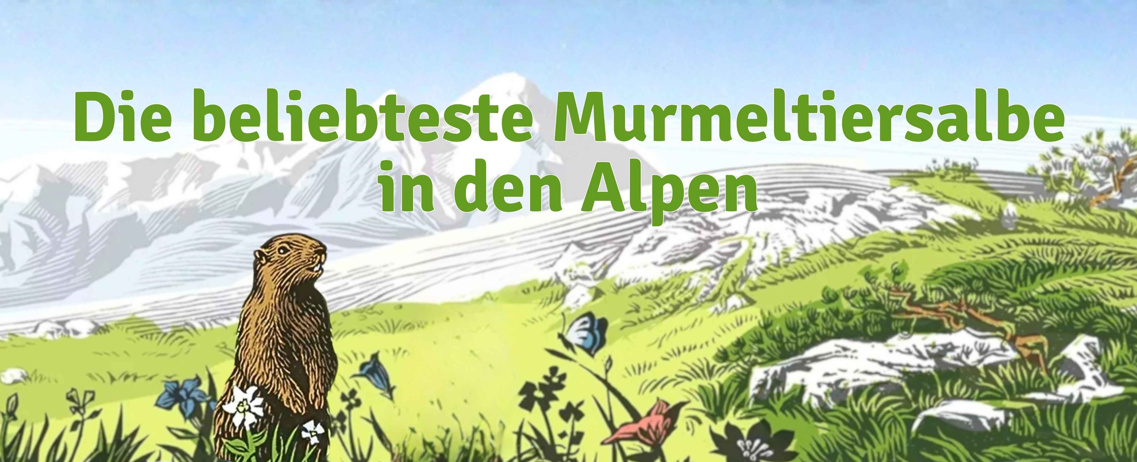 Slogan "Die beliebteste Murmeltiersalbe in den Alpen" in Grün vor einer gemalten Bergkulisse. Links darunter ist ein aufrechtes Murmeltier zu sehen.