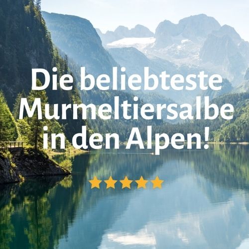 Die beliebteste Murmeltiersalbe in den Alpen