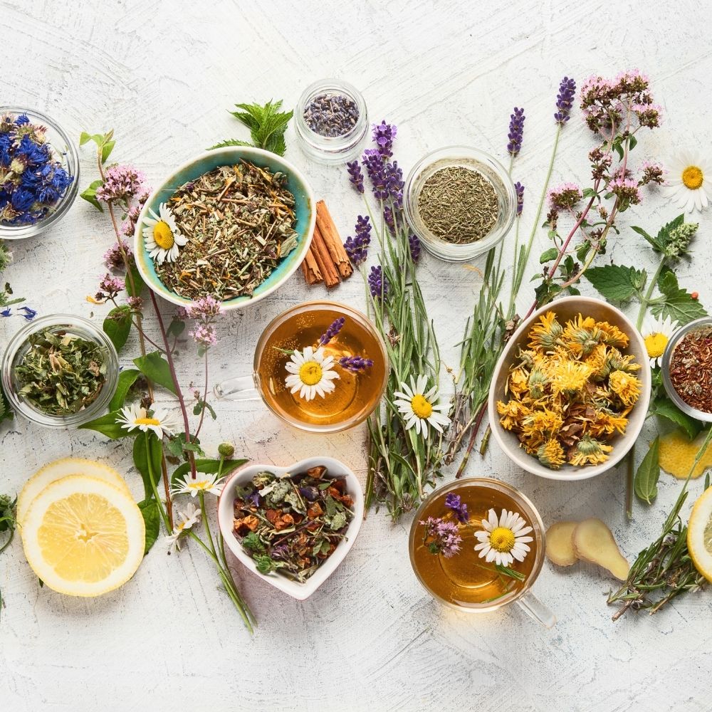 Bio-Tee Probierset - Lieblinge